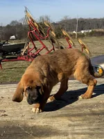 processed/0f8642d5-06ea-4a7a-988b-408cce6683d7/listing/a57b9d0a-65ff-4448-985e-24f4250d6102/950d038a-8347-4fa0-bfc2-eea69342b5f9