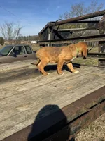 processed/0f8642d5-06ea-4a7a-988b-408cce6683d7/listing/a57b9d0a-65ff-4448-985e-24f4250d6102/a52478d8-d9d6-4399-a67f-4e0d85eef2fa