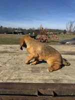 processed/0f8642d5-06ea-4a7a-988b-408cce6683d7/listing/a57b9d0a-65ff-4448-985e-24f4250d6102/d47cca4b-2d72-4ab6-821b-079ebefcc906