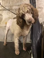 processed/0f8642d5-06ea-4a7a-988b-408cce6683d7/listing/c00a759d-eb93-40c0-a3ad-85d304fb3319/c6e9eb3c-9acc-4b8e-925f-c6426fceef7f