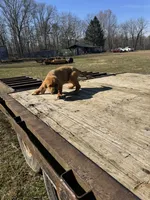 processed/0f8642d5-06ea-4a7a-988b-408cce6683d7/listing/c8237670-6a3f-46dd-a8e7-2067f1df31cd/0895b416-11a8-44a3-9fa9-c3a28c66d6a1