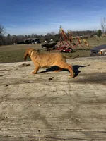 processed/0f8642d5-06ea-4a7a-988b-408cce6683d7/listing/c8237670-6a3f-46dd-a8e7-2067f1df31cd/53a310d9-dd30-4750-8148-6d6acc897390