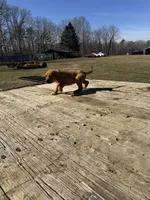 processed/0f8642d5-06ea-4a7a-988b-408cce6683d7/listing/c8237670-6a3f-46dd-a8e7-2067f1df31cd/58881a81-680f-46dd-bb4a-689755064742