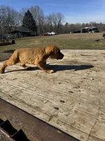 processed/0f8642d5-06ea-4a7a-988b-408cce6683d7/listing/c8237670-6a3f-46dd-a8e7-2067f1df31cd/752b560c-663b-4644-aced-e136fe3a74c4