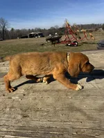 processed/0f8642d5-06ea-4a7a-988b-408cce6683d7/listing/c8237670-6a3f-46dd-a8e7-2067f1df31cd/bbec65e9-cd1a-4812-b497-97161415fadc