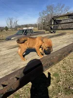 processed/0f8642d5-06ea-4a7a-988b-408cce6683d7/listing/d84b920d-9224-43cf-8a88-ce2b01988c68/1dae8d37-ae57-4250-9e8f-26ec370c458b