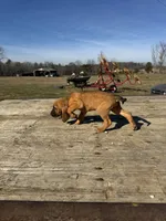 processed/0f8642d5-06ea-4a7a-988b-408cce6683d7/listing/d84b920d-9224-43cf-8a88-ce2b01988c68/72849dc7-fa8c-400c-a46f-256b031007f1