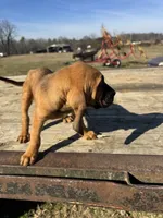 processed/0f8642d5-06ea-4a7a-988b-408cce6683d7/listing/d84b920d-9224-43cf-8a88-ce2b01988c68/c9ef94b3-f3ec-49fe-91d9-9676bf585581