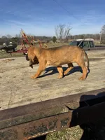 processed/0f8642d5-06ea-4a7a-988b-408cce6683d7/listing/d84b920d-9224-43cf-8a88-ce2b01988c68/ff2c2e37-df99-4034-a47f-a78847a26b7d