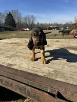 processed/0f8642d5-06ea-4a7a-988b-408cce6683d7/listing/de65ccdf-b031-4522-aa8e-103d2ca65569/0a6dbc83-3ddf-46b8-94d2-4e965f76eec2