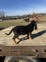 processed/0f8642d5-06ea-4a7a-988b-408cce6683d7/listing/de65ccdf-b031-4522-aa8e-103d2ca65569/0d6a1b91-9fd8-4ea5-9452-76ff752a018d