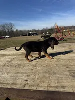 processed/0f8642d5-06ea-4a7a-988b-408cce6683d7/listing/de65ccdf-b031-4522-aa8e-103d2ca65569/0db5d24e-fe61-474d-a1db-385ce82980ac