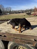 processed/0f8642d5-06ea-4a7a-988b-408cce6683d7/listing/de65ccdf-b031-4522-aa8e-103d2ca65569/7d4851c2-5dc5-4ae9-a586-8d9763dbee15