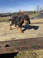 processed/0f8642d5-06ea-4a7a-988b-408cce6683d7/listing/de65ccdf-b031-4522-aa8e-103d2ca65569/a376b0eb-3bf3-49db-8a61-e5d53d8f4208