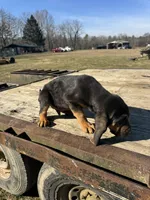 processed/0f8642d5-06ea-4a7a-988b-408cce6683d7/listing/de65ccdf-b031-4522-aa8e-103d2ca65569/a74273b3-dcf1-48ea-9932-e514f8b7cfc6