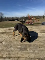 processed/0f8642d5-06ea-4a7a-988b-408cce6683d7/listing/de65ccdf-b031-4522-aa8e-103d2ca65569/c2913cc3-abaa-4b53-9dc7-f95a65d98cd8