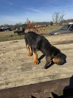 processed/0f8642d5-06ea-4a7a-988b-408cce6683d7/listing/de65ccdf-b031-4522-aa8e-103d2ca65569/ca03c2d4-9958-446d-8b41-744aa0017c83