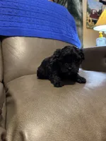 processed/0f8642d5-06ea-4a7a-988b-408cce6683d7/listing/e26237ca-b79d-4c0e-a46e-432c1dad608d/421d1428-629c-48d7-a077-1abf925453cd