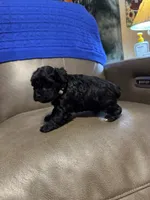 processed/0f8642d5-06ea-4a7a-988b-408cce6683d7/listing/e26237ca-b79d-4c0e-a46e-432c1dad608d/76852bc7-e9aa-450c-a0e2-86c0c70cb69f