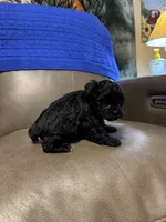 processed/0f8642d5-06ea-4a7a-988b-408cce6683d7/listing/e26237ca-b79d-4c0e-a46e-432c1dad608d/c99ebbac-b13a-460f-ae6d-33661016f06e