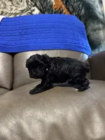 processed/0f8642d5-06ea-4a7a-988b-408cce6683d7/listing/e26237ca-b79d-4c0e-a46e-432c1dad608d/d1a0350c-29eb-4b1c-85ba-5472084c80c1