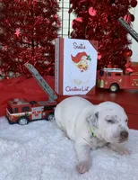 processed/0f8916a7-24b3-4791-99fc-f5eaddf5eed2/listing/0d32c8a4-e789-4d55-8192-71559371415c/6b366176-b075-4585-bbdc-77d641f6dd71