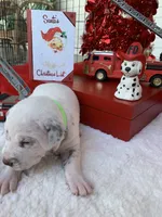 processed/0f8916a7-24b3-4791-99fc-f5eaddf5eed2/listing/0d32c8a4-e789-4d55-8192-71559371415c/8d5d43c8-919a-4569-80ce-aaa24a8781f1