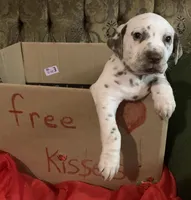 processed/0f8916a7-24b3-4791-99fc-f5eaddf5eed2/listing/0d32c8a4-e789-4d55-8192-71559371415c/9663c00b-892f-4b3b-94cd-40bd6a850f4c