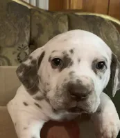 processed/0f8916a7-24b3-4791-99fc-f5eaddf5eed2/listing/0d32c8a4-e789-4d55-8192-71559371415c/d33f8c51-01d7-4c22-b2ca-298e6d33b087