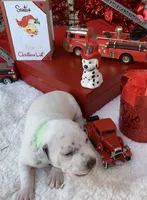 processed/0f8916a7-24b3-4791-99fc-f5eaddf5eed2/listing/0d32c8a4-e789-4d55-8192-71559371415c/f70bd6dc-df1b-4e0e-9bd9-8e5f77f46348