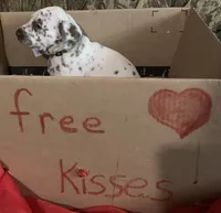 processed/0f8916a7-24b3-4791-99fc-f5eaddf5eed2/listing/0da39b56-1d89-4b72-8397-5717b83be045/57133e53-d803-4eea-a21b-21a7c7093d38