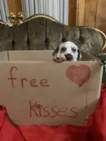 processed/0f8916a7-24b3-4791-99fc-f5eaddf5eed2/listing/0da39b56-1d89-4b72-8397-5717b83be045/be4d7f16-ead5-4207-803e-fceca0144209