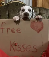 processed/0f8916a7-24b3-4791-99fc-f5eaddf5eed2/listing/0da39b56-1d89-4b72-8397-5717b83be045/dffde66d-6929-4dd5-911d-bbc493ba16d6