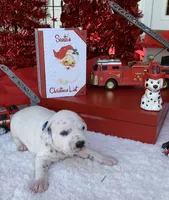 processed/0f8916a7-24b3-4791-99fc-f5eaddf5eed2/listing/83bfd913-0db4-4a97-a894-530af66715dc/333a4ab3-002d-4197-a96d-4bda297c9ada