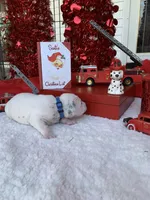 processed/0f8916a7-24b3-4791-99fc-f5eaddf5eed2/listing/83bfd913-0db4-4a97-a894-530af66715dc/539b9419-f682-4600-bc83-bdf6557f9b42