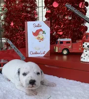 processed/0f8916a7-24b3-4791-99fc-f5eaddf5eed2/listing/83bfd913-0db4-4a97-a894-530af66715dc/6309fee3-5c39-43b9-9eb6-022774a873ef