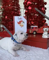 processed/0f8916a7-24b3-4791-99fc-f5eaddf5eed2/listing/83bfd913-0db4-4a97-a894-530af66715dc/8d58137b-8eba-43ec-a222-6914a009944e