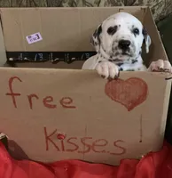 processed/0f8916a7-24b3-4791-99fc-f5eaddf5eed2/listing/83bfd913-0db4-4a97-a894-530af66715dc/f2d678e7-0106-40d8-8b1e-9e5abe2c89ce