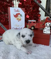 processed/0f8916a7-24b3-4791-99fc-f5eaddf5eed2/listing/9f343299-8a97-4c8a-af72-17da2151f72a/7db6667d-aca8-417a-851b-b797406ccc1b