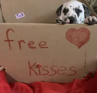 processed/0f8916a7-24b3-4791-99fc-f5eaddf5eed2/listing/9f343299-8a97-4c8a-af72-17da2151f72a/9173b955-1453-413a-ba39-92637a5bb5bd