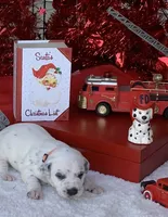 processed/0f8916a7-24b3-4791-99fc-f5eaddf5eed2/listing/9f343299-8a97-4c8a-af72-17da2151f72a/a9ef46d8-036b-4fbd-95c0-43b56ae56863