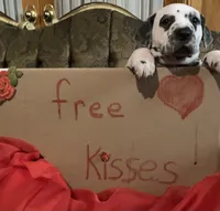 processed/0f8916a7-24b3-4791-99fc-f5eaddf5eed2/listing/9f343299-8a97-4c8a-af72-17da2151f72a/bed8d6ee-3bce-4c2a-a9dd-946316cc0a7b