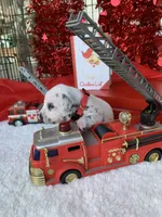 processed/0f8916a7-24b3-4791-99fc-f5eaddf5eed2/listing/bdc12bec-c744-4d3a-8003-2b8e37d5b7e9/5edf462d-7fa0-4821-8268-ba10510b4ff1