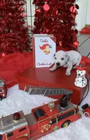 processed/0f8916a7-24b3-4791-99fc-f5eaddf5eed2/listing/bdc12bec-c744-4d3a-8003-2b8e37d5b7e9/79a023a9-f346-4c6a-9a6d-e1f46b6d1e99