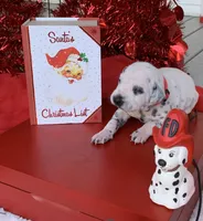 processed/0f8916a7-24b3-4791-99fc-f5eaddf5eed2/listing/bdc12bec-c744-4d3a-8003-2b8e37d5b7e9/914806a0-4cfa-4654-8ed6-8799ef9f62a4