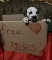 processed/0f8916a7-24b3-4791-99fc-f5eaddf5eed2/listing/bdc12bec-c744-4d3a-8003-2b8e37d5b7e9/cfcaf641-78ae-48d9-bb57-0e0253fc8b22