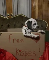 processed/0f8916a7-24b3-4791-99fc-f5eaddf5eed2/listing/bdc12bec-c744-4d3a-8003-2b8e37d5b7e9/e92699e7-36c3-4b96-b6b9-dc9e74df50ed