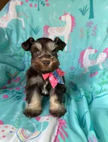 processed/0f9f69b4-494b-4f0e-bbae-b5f2bebe1307/listing/044afc2f-132a-44ab-b22e-2c0aa869311a/65487d7d-b0f3-4825-96b3-dbfe8444174f