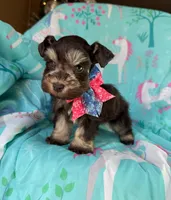 processed/0f9f69b4-494b-4f0e-bbae-b5f2bebe1307/listing/044afc2f-132a-44ab-b22e-2c0aa869311a/d0c7f5ee-5a11-4b08-b1e5-438705697a86