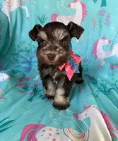 processed/0f9f69b4-494b-4f0e-bbae-b5f2bebe1307/listing/044afc2f-132a-44ab-b22e-2c0aa869311a/e6b6f801-bf54-4192-94a1-f4ccf88f1146